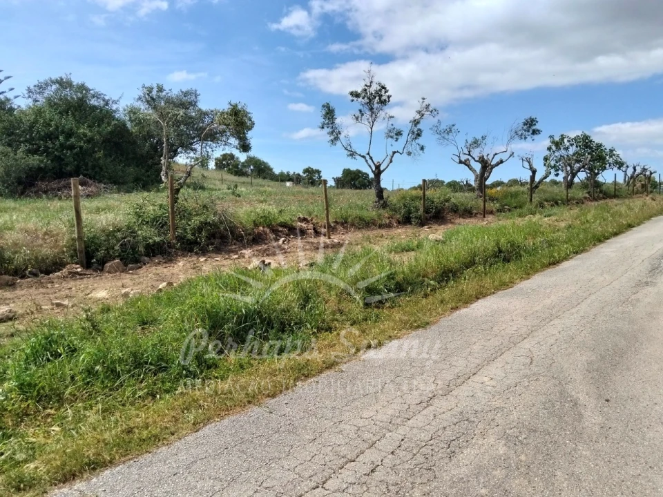 Terreno Agricola ou Rústico para Venda em Grândola e Santa Margarida da Serra Foto 36