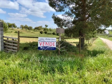 Terreno Agricola ou Rústico para Venda em Grândola e Santa Margarida da Serra