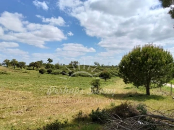 Terreno Agricola ou Rústico para Venda em Grândola e Santa Margarida da Serra