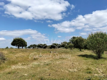 Terreno Agricola ou Rústico para Venda em Grândola e Santa Margarida da Serra