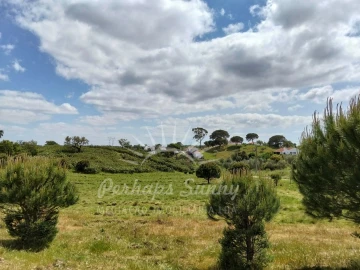 Terreno Agricola ou Rústico para Venda em Grândola e Santa Margarida da Serra
