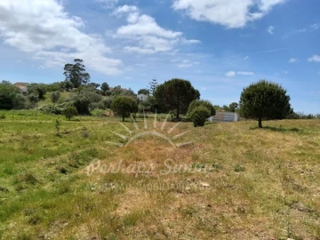 Terreno Agricola ou Rústico para Venda em Grândola e Santa Margarida da Serra