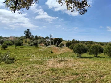 Terreno Agricola ou Rústico para Venda em Grândola e Santa Margarida da Serra