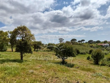 Terreno Agricola ou Rústico para Venda em Grândola e Santa Margarida da Serra