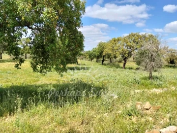 Terreno Agricola ou Rústico para Venda em Grândola e Santa Margarida da Serra