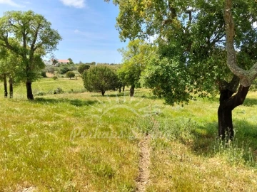 Terreno Agricola ou Rústico para Venda em Grândola e Santa Margarida da Serra