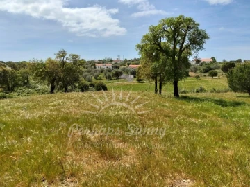 Terreno Agricola ou Rústico para Venda em Grândola e Santa Margarida da Serra