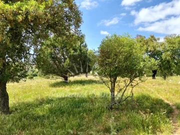 Terreno Agricola ou Rústico para Venda em Grândola e Santa Margarida da Serra