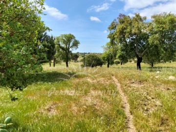 Terreno Agricola ou Rústico para Venda em Grândola e Santa Margarida da Serra