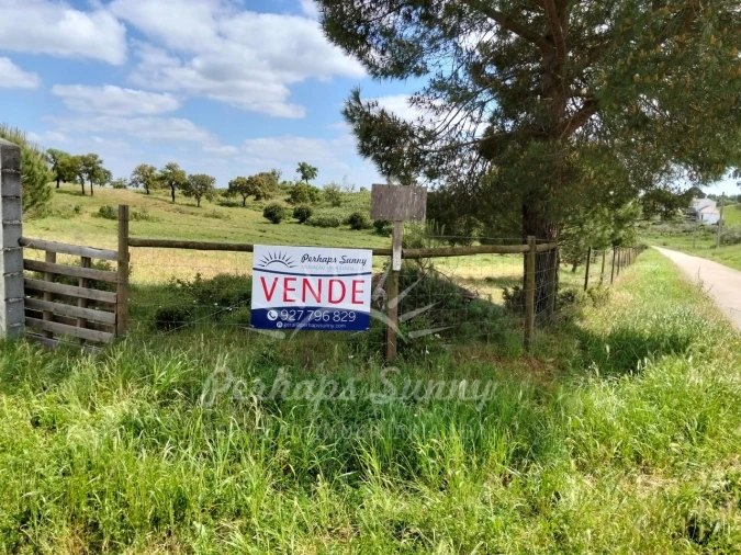 Terreno Agricola ou Rústico para Venda em Grândola e Santa Margarida da Serra Foto 2