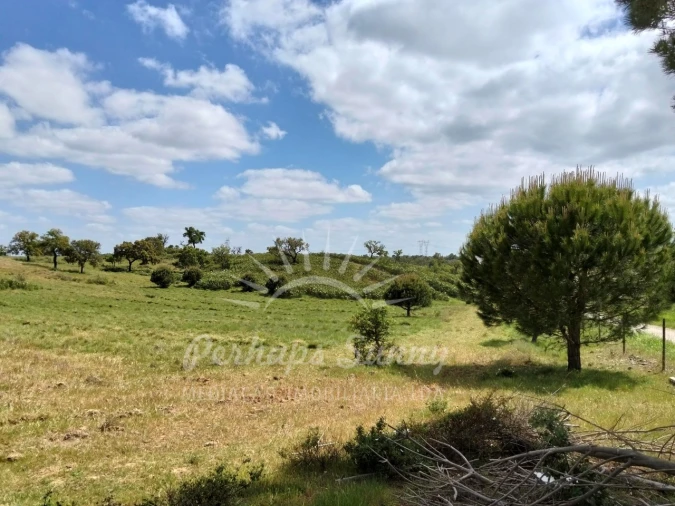 Terreno Agricola ou Rústico para Venda em Grândola e Santa Margarida da Serra Foto 4