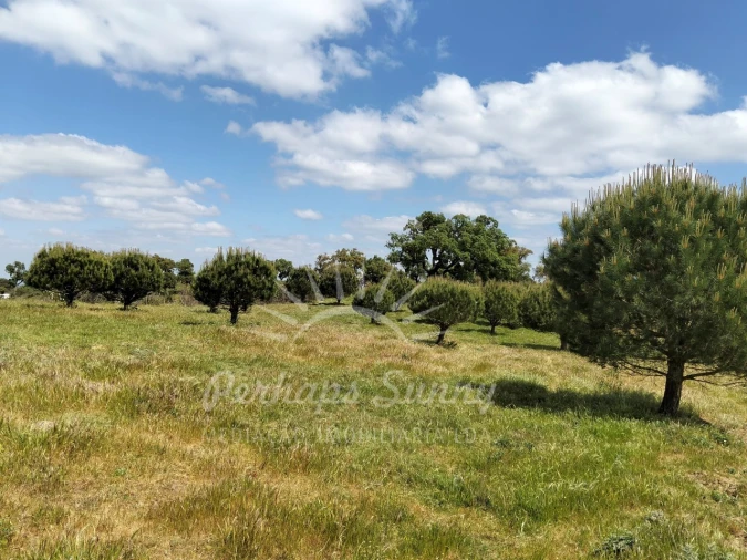 Terreno Agricola ou Rústico para Venda em Grândola e Santa Margarida da Serra Foto 8