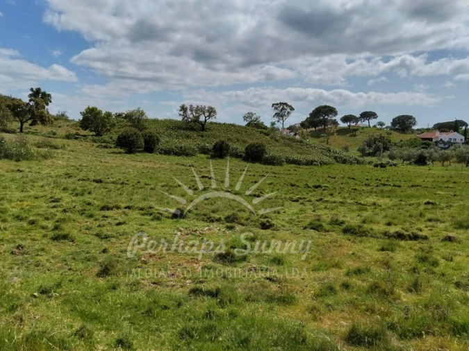 Terreno Agricola ou Rústico para Venda em Grândola e Santa Margarida da Serra Foto 10