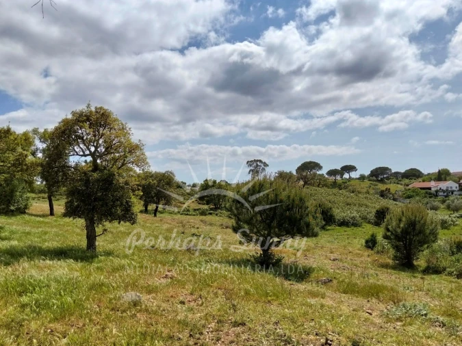 Terreno Agricola ou Rústico para Venda em Grândola e Santa Margarida da Serra Foto 20