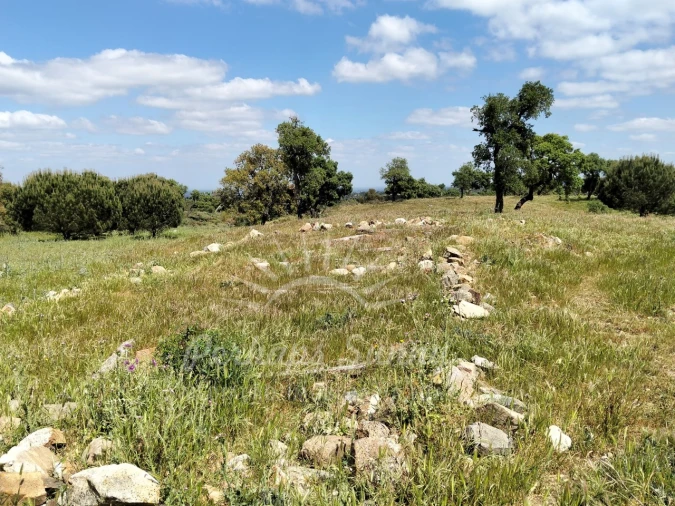 Terreno Agricola ou Rústico para Venda em Grândola e Santa Margarida da Serra Foto 22