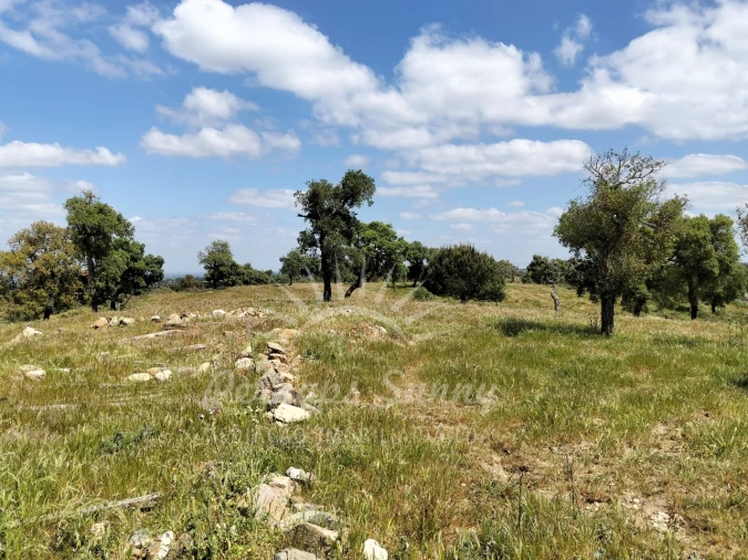 Terreno Agricola ou Rústico para Venda em Grândola e Santa Margarida da Serra Foto 23