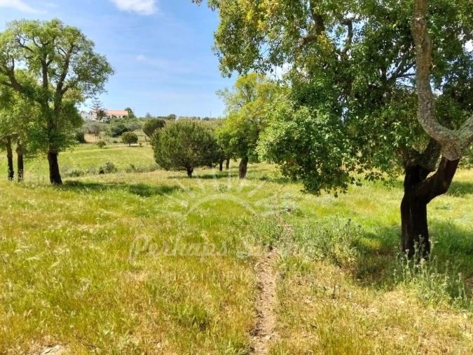 Terreno Agricola ou Rústico para Venda em Grândola e Santa Margarida da Serra Foto 25