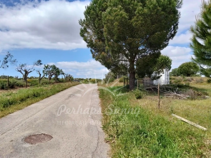 Terreno Agricola ou Rústico para Venda em Grândola e Santa Margarida da Serra Foto 35