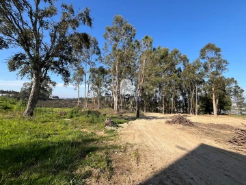 Terreno para Venda em Pedroso e Seixezelo