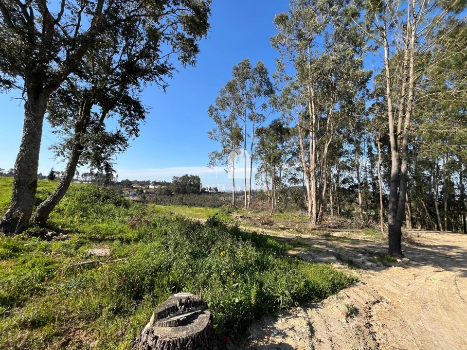Terreno para Venda em Pedroso e Seixezelo Foto 3