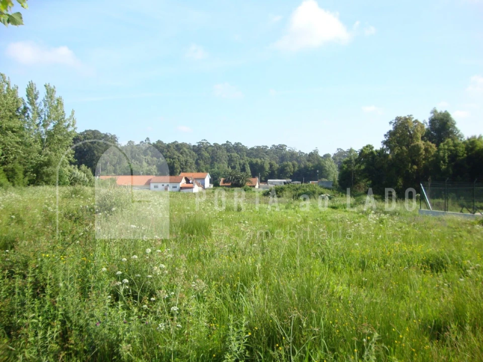 Terreno Agricola ou Rústico para Venda em Grijó e Sermonde Foto 3
