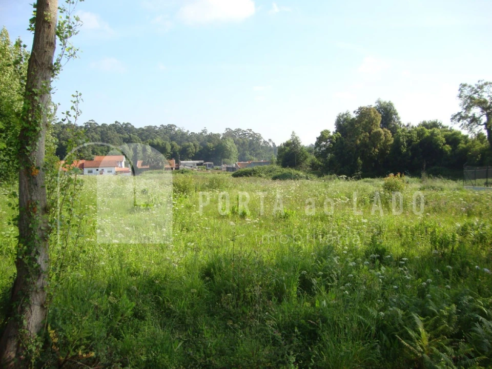 Terreno Agricola ou Rústico para Venda em Grijó e Sermonde Foto 4