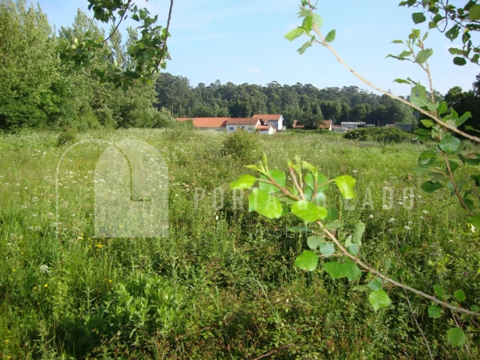 Terreno Agricola ou Rústico para Venda em Grijó e Sermonde Foto 7