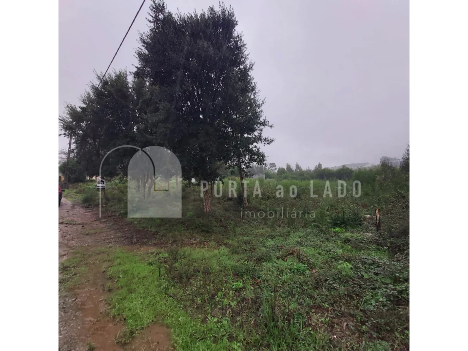 Terreno para Venda em Grijó e Sermonde Foto 6