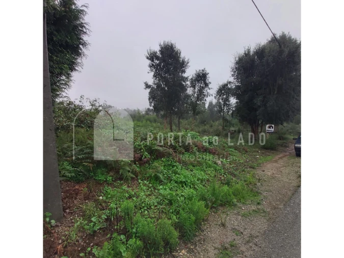 Terreno para Venda em Grijó e Sermonde Foto 3