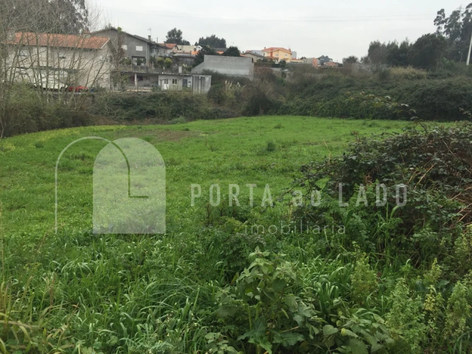 Terreno Agricola ou Rústico para Venda em Nogueira da Regedoura Foto 6