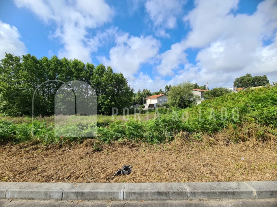 Terreno Agricola ou Rústico para Venda em Nogueira da Regedoura Foto 4
