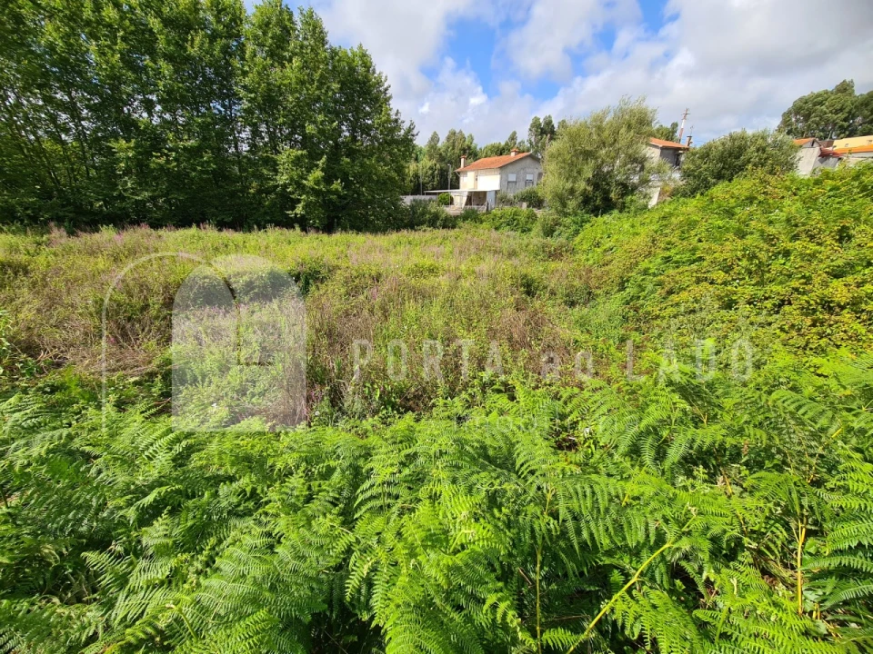 Terreno Agricola ou Rústico para Venda em Nogueira da Regedoura Foto 5
