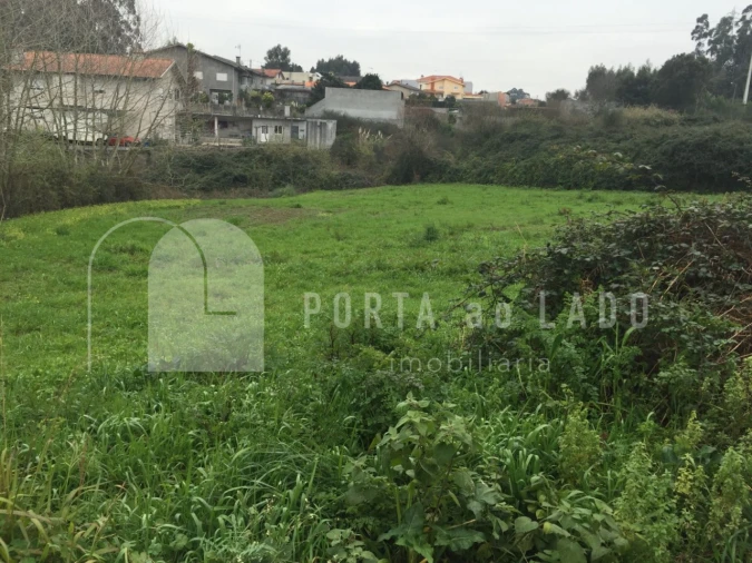 Terreno Agricola ou Rústico para Venda em Nogueira da Regedoura Foto 6