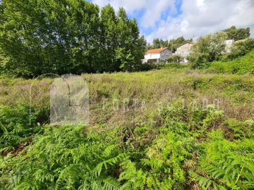 Terreno Agricola ou Rústico para Venda em Nogueira da Regedoura