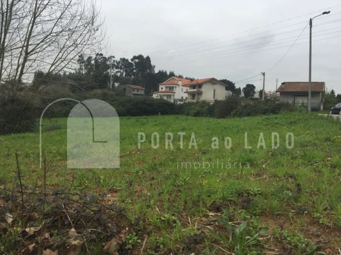 Terreno Agricola ou Rústico para Venda em Nogueira da Regedoura Foto 7