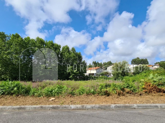 Terreno Agricola ou Rústico para Venda em Nogueira da Regedoura Foto 5