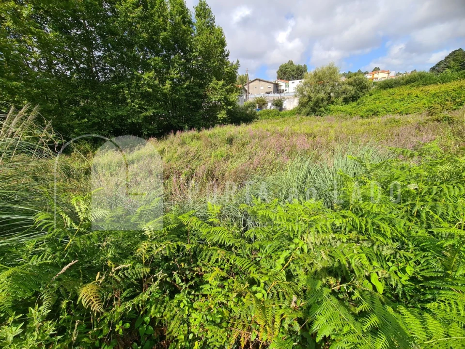 Terreno Agricola ou Rústico para Venda em Nogueira da Regedoura Foto 7