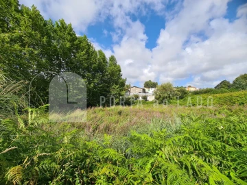 Terreno Agricola ou Rústico para Venda em Nogueira da Regedoura