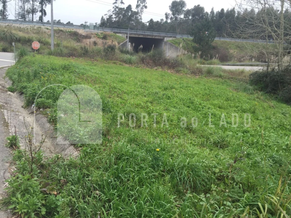 Terreno Agricola ou Rústico para Venda em Nogueira da Regedoura Foto 8