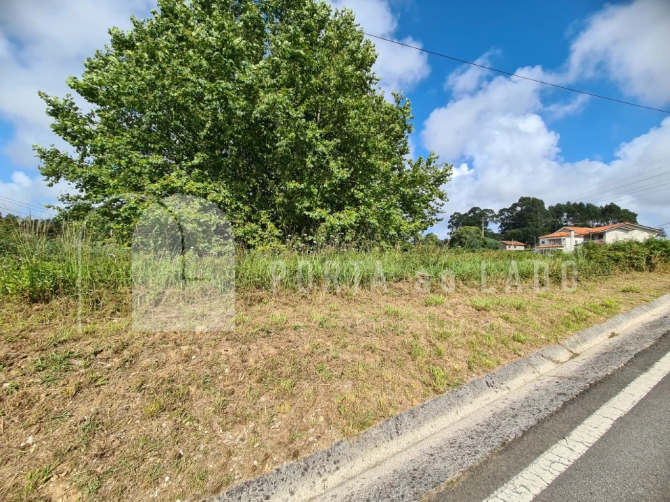 Terreno Agricola ou Rústico para Venda em Nogueira da Regedoura Foto 7