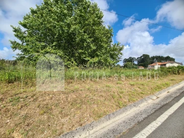 Terreno Agricola ou Rústico para Venda em Nogueira da Regedoura