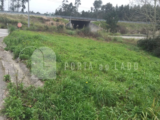 Terreno Agricola ou Rústico para Venda em Nogueira da Regedoura Foto 8