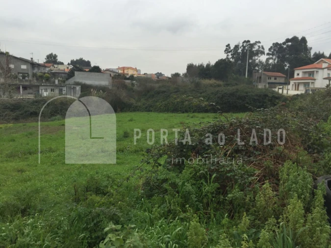 Terreno Agricola ou Rústico para Venda em Nogueira da Regedoura Foto 7