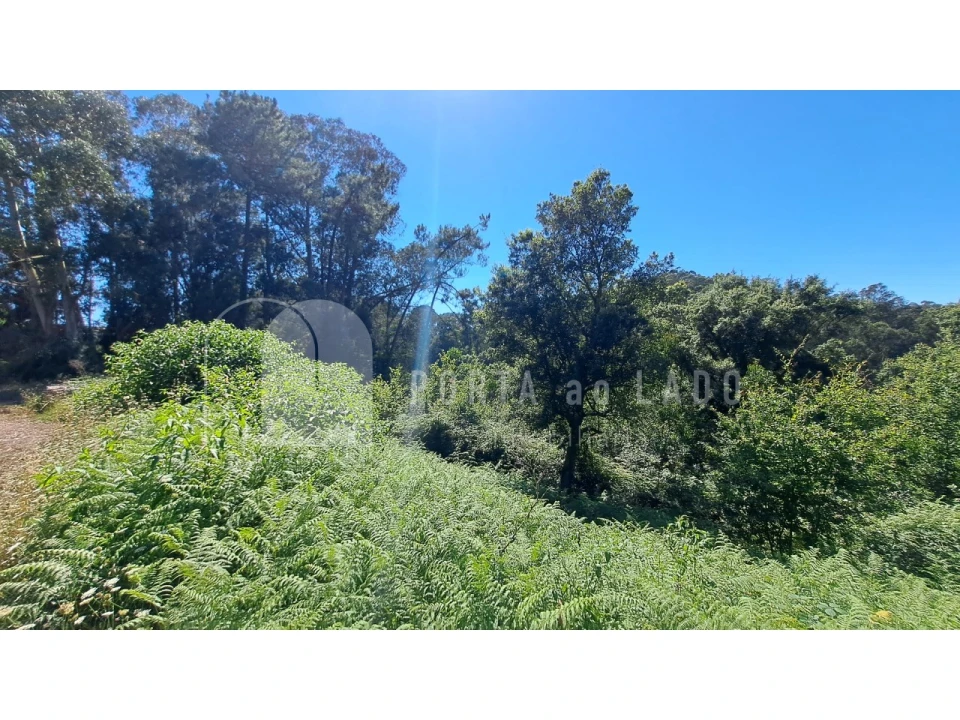 Terreno Agricola ou Rústico para Venda em Sandim, Olival, Lever e Crestuma Foto 6