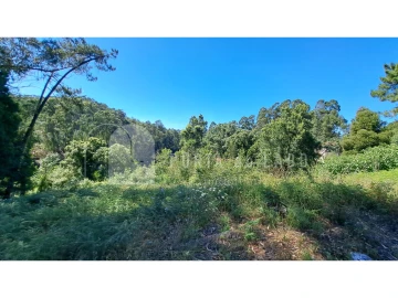 Terreno Agricola ou Rústico para Venda em Sandim, Olival, Lever e Crestuma