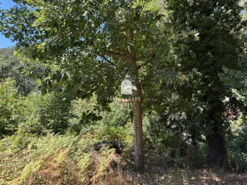 Terreno Agricola ou Rústico para Venda em Sandim, Olival, Lever e Crestuma