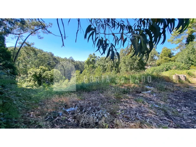 Terreno Agricola ou Rústico para Venda em Sandim, Olival, Lever e Crestuma Foto 5