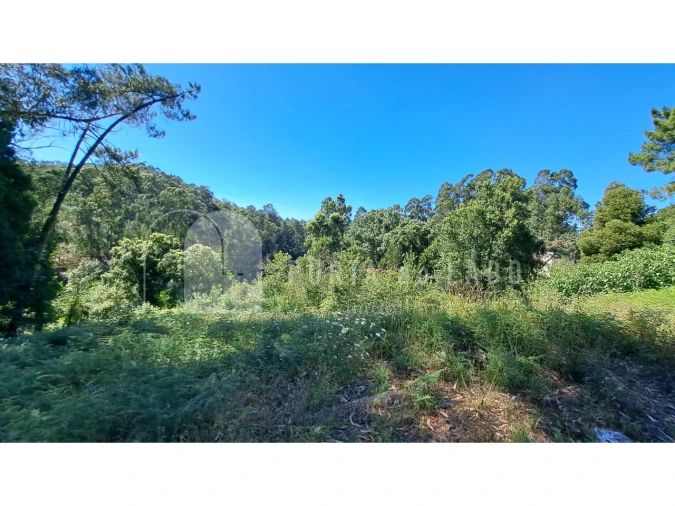 Terreno Agricola ou Rústico para Venda em Sandim, Olival, Lever e Crestuma Foto 7
