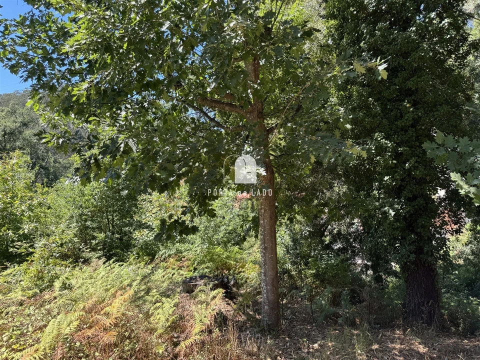 Terreno Agricola ou Rústico para Venda em Sandim, Olival, Lever e Crestuma Foto 5