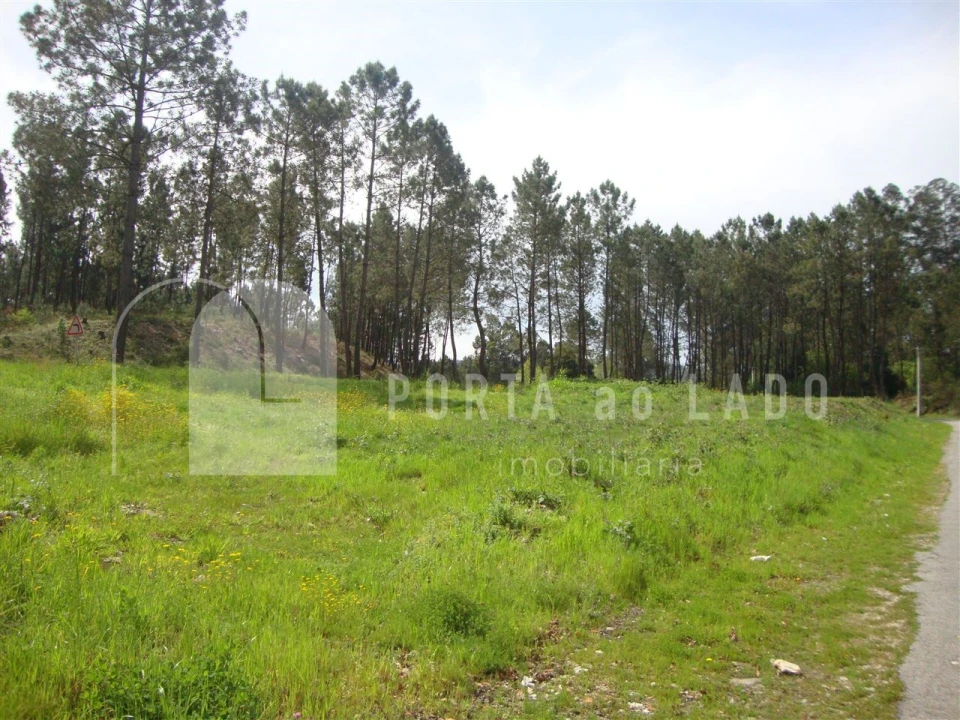 Terreno Agricola ou Rústico para Venda em Sandim, Olival, Lever e Crestuma Foto 6